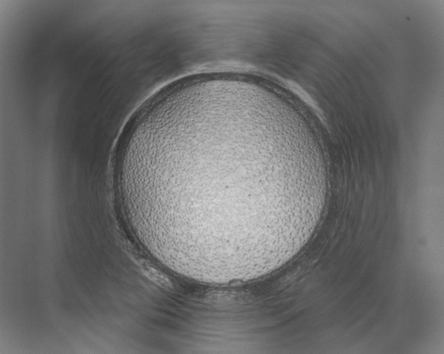 X0000073991364200609181731