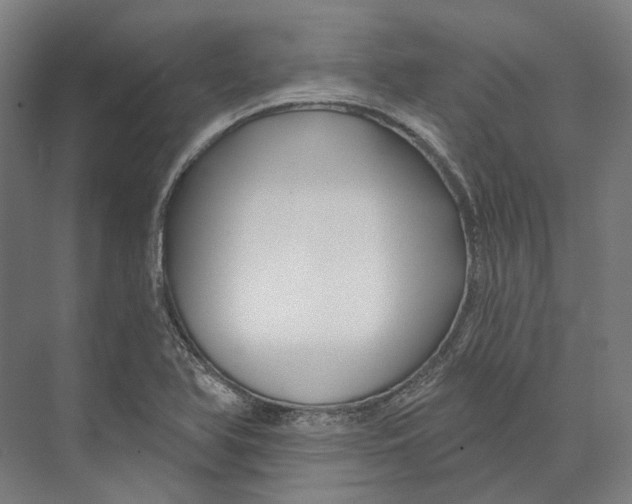 X0000073991366200609181731