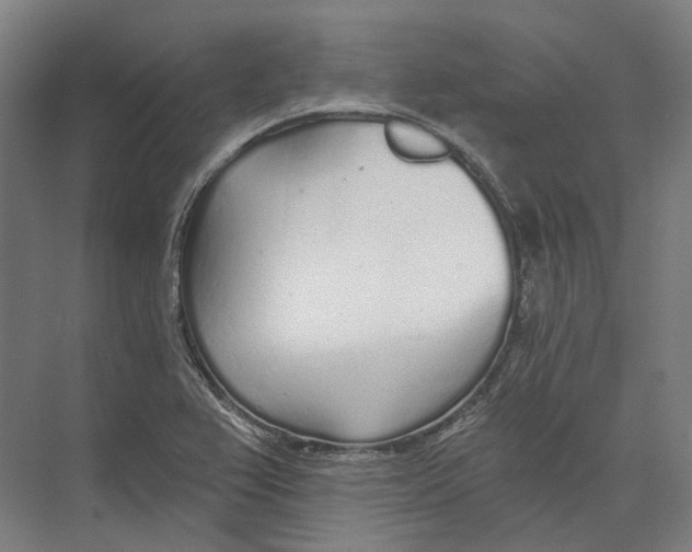 X0000073991367200609181731