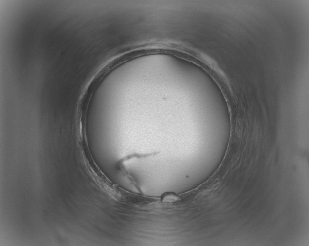 X0000073991368200609181731