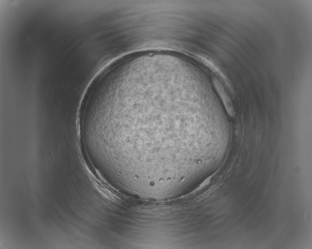 X0000073991372200609181731