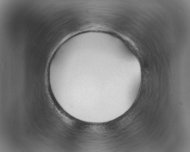 X0000073991375200609181731