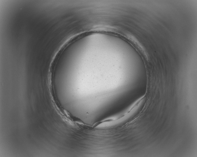 X0000073991376200609181731