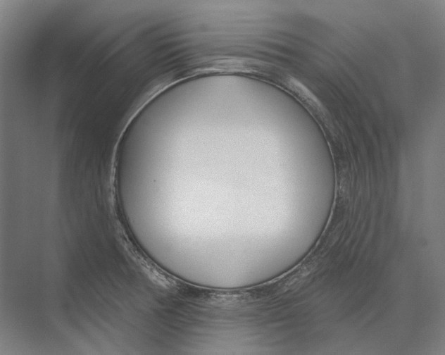 X0000073991378200609181731