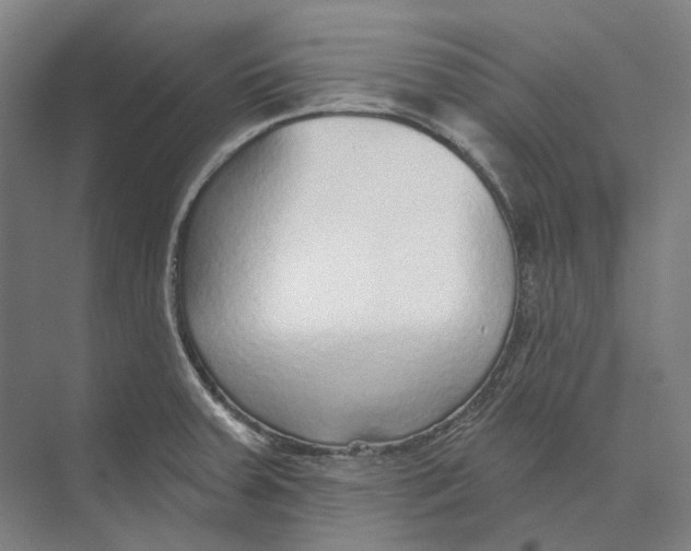 X0000073991379200609181731