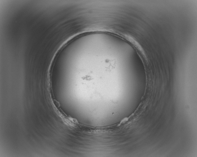 X0000073991380200609181731