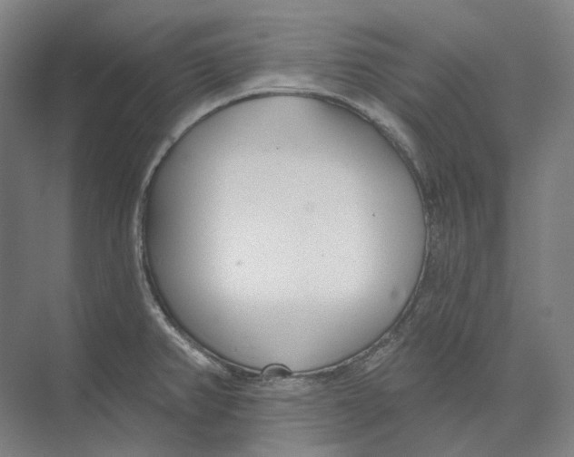 X0000073991382200609181731