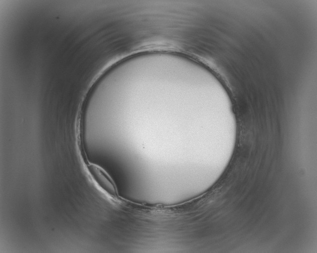 X0000073991383200609181731