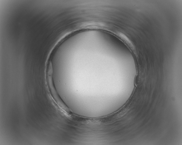 X0000073991384200609181731