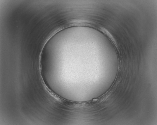 X0000073991386200609181731