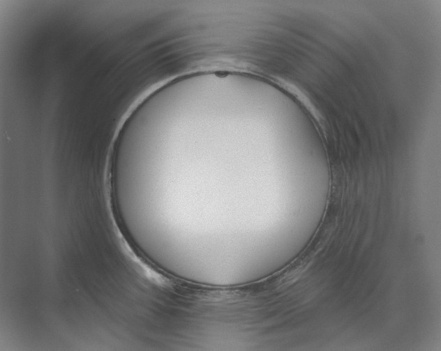 X0000073991387200609181731