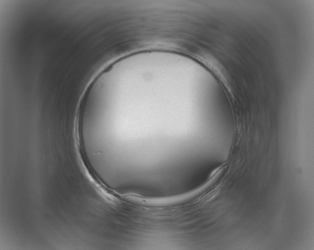 X0000073991391200609181731