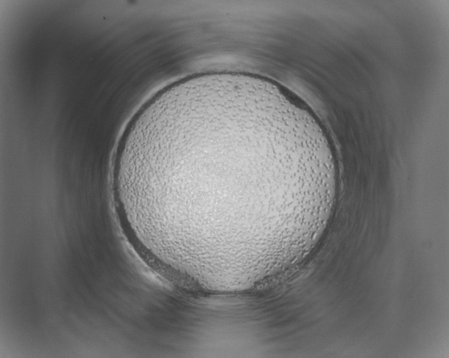 X0000073991392200609181731