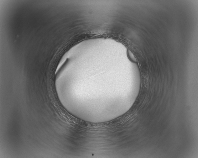 X0000073991393200609181730