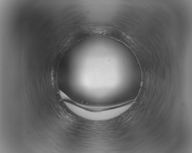 X0000073991394200609181730