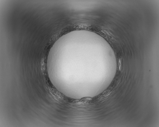 X0000073991395200609181730