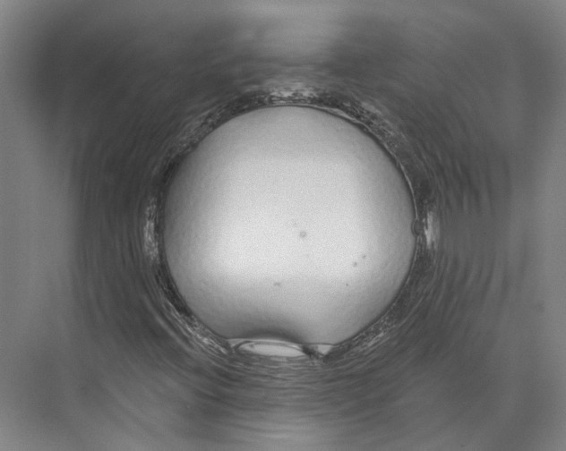 X0000073991396200609181730