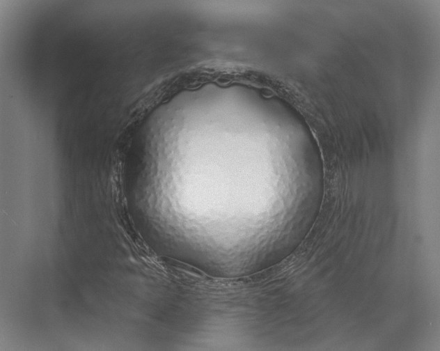 X0000073991397200609181730