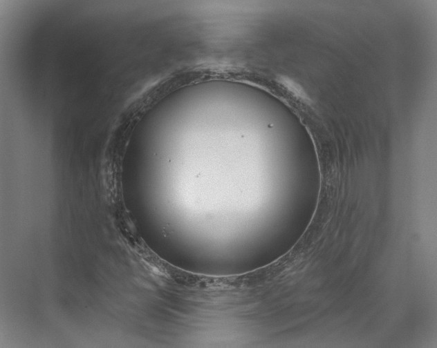 X0000073991398200609181730