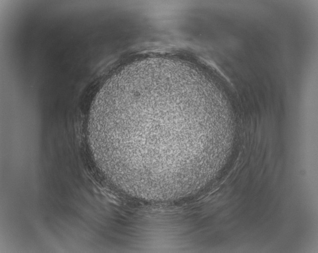 X0000073991399200609181730