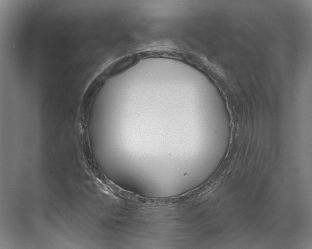 X0000073991400200609181730