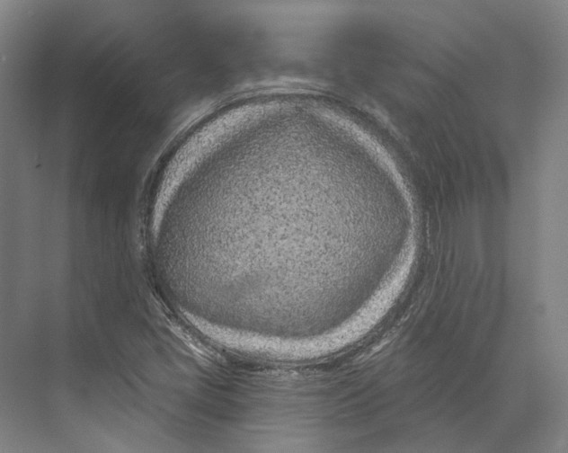 X0000073991405200609181730