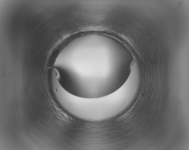 X0000073991406200609181730