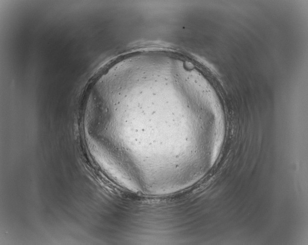 X0000073991407200609181730