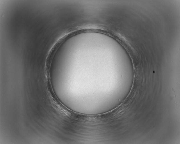 X0000073991408200609181730