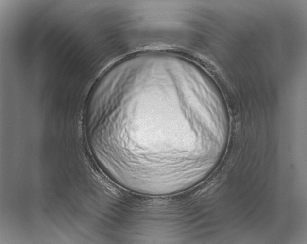 X0000073991409200609181730