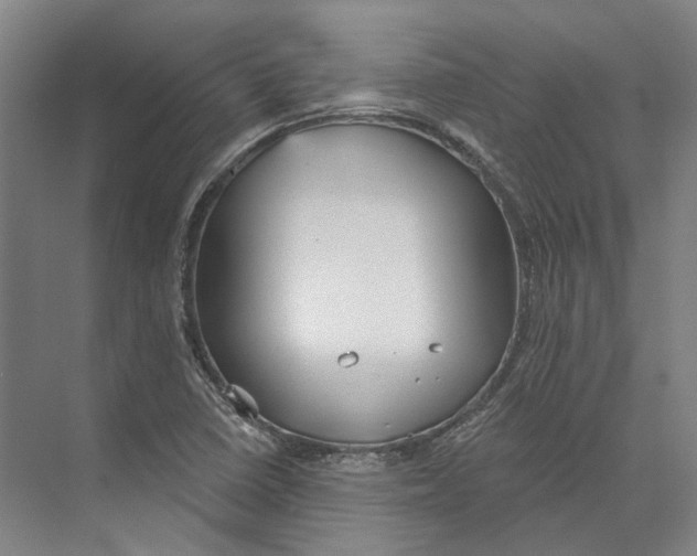 X0000073991410200609181730