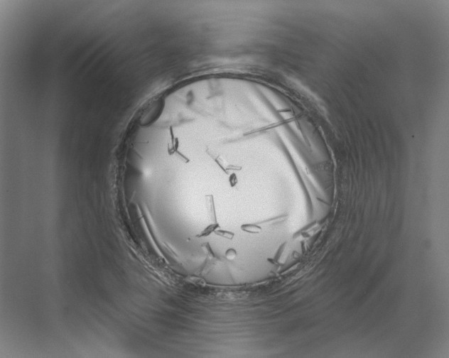 X0000073991411200609181730