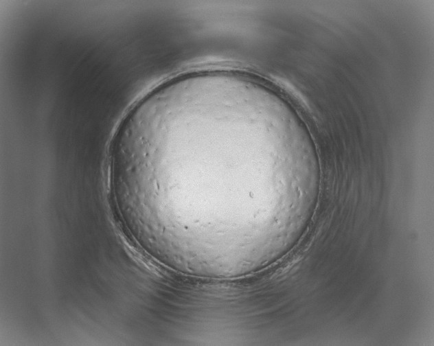 X0000073991413200609181730