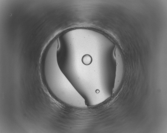 X0000073991414200609181730