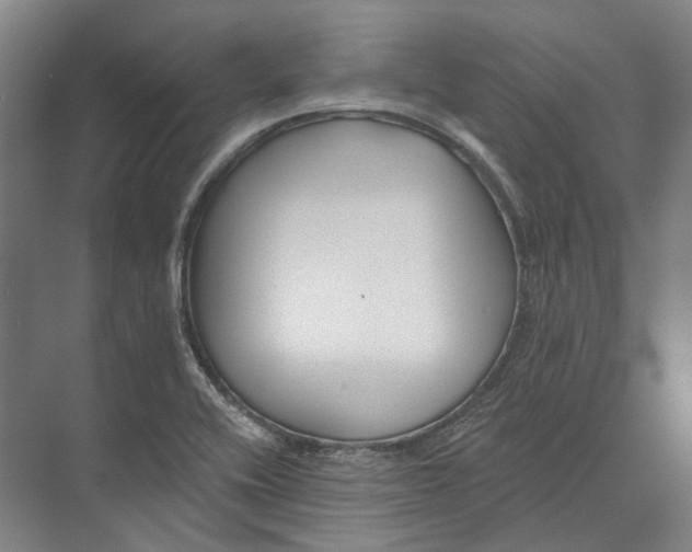 X0000073991416200609181730