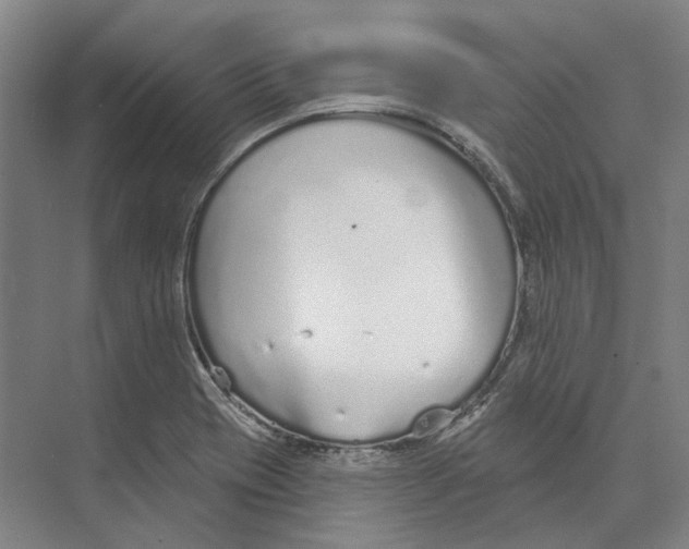 X0000073991417200609181730