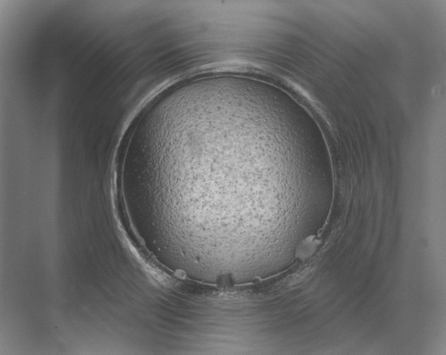 X0000073991418200609181730