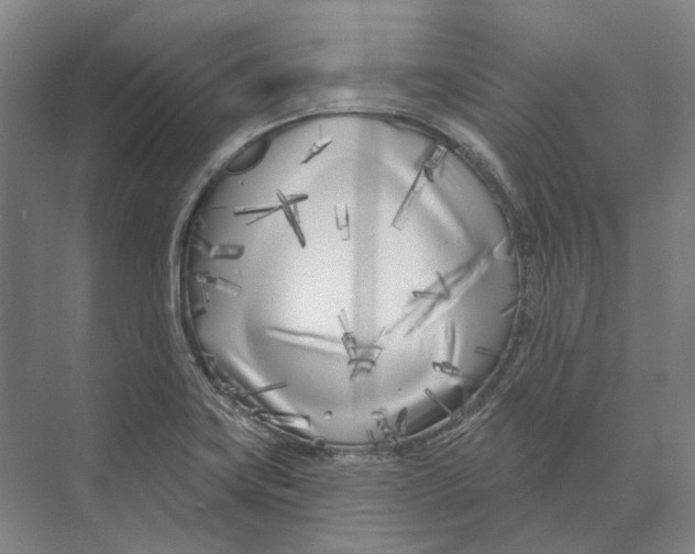 X0000073991419200609181731