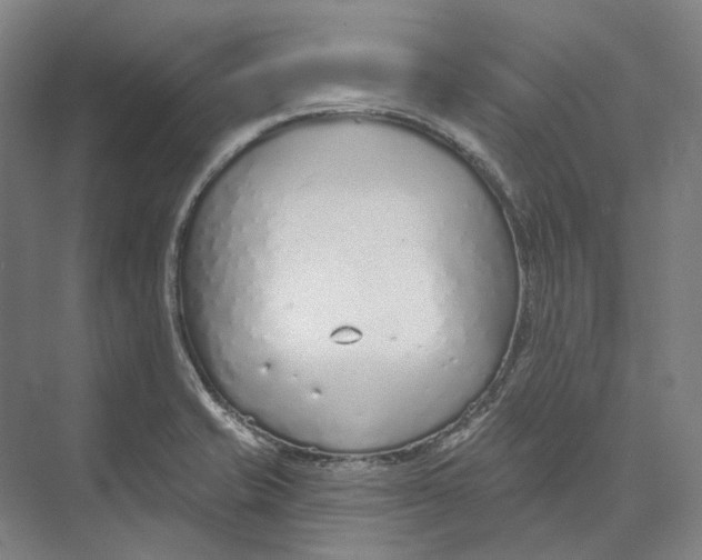 X0000073991421200609181731