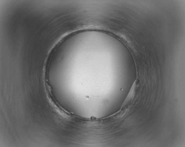 X0000073991422200609181731