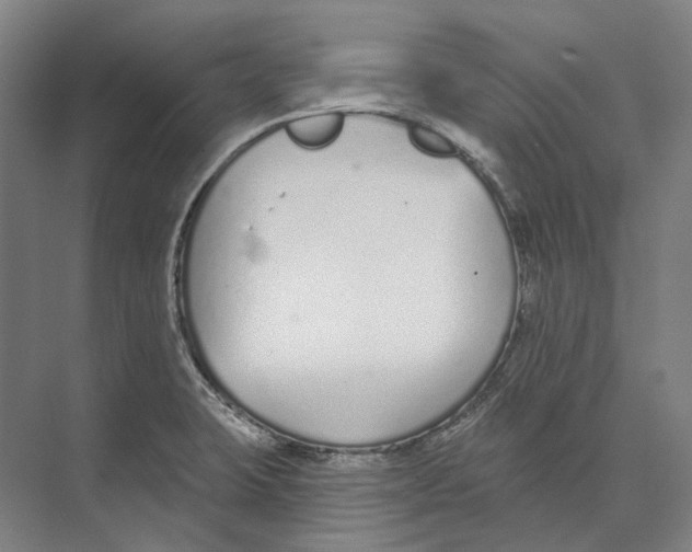 X0000073991423200609181731