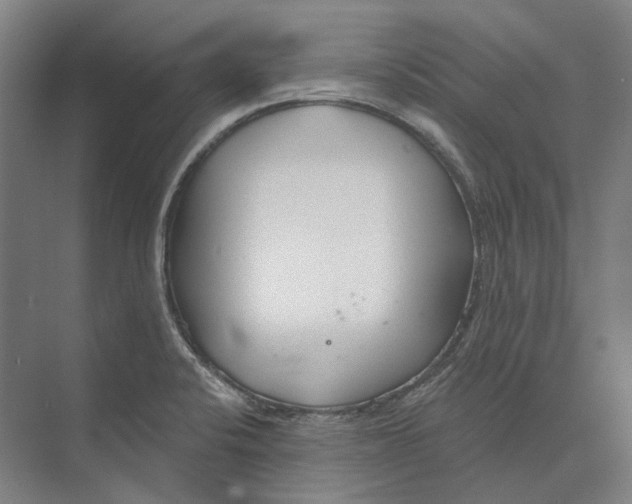 X0000073991424200609181731