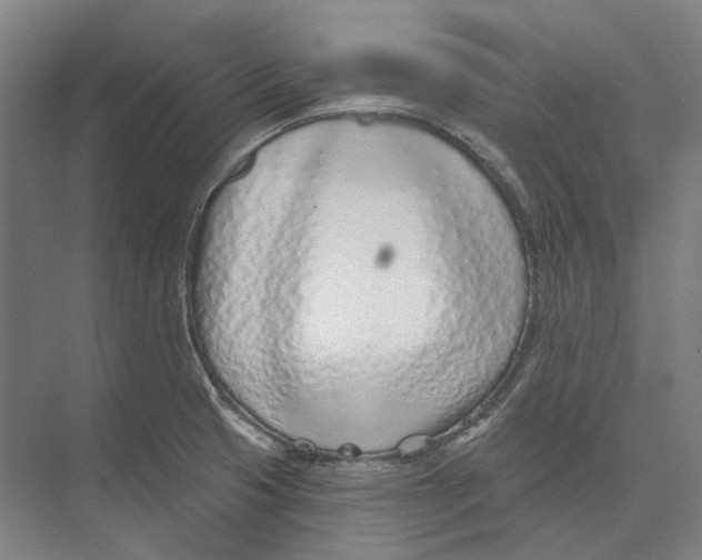 X0000073991425200609181731