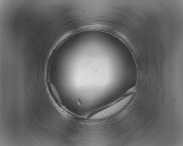 X0000073991426200609181731