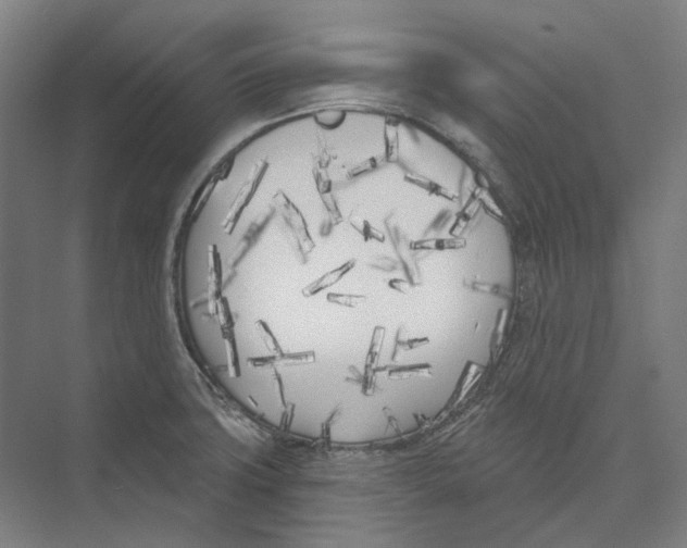 X0000073991427200609181731