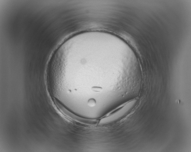 X0000073991429200609181731