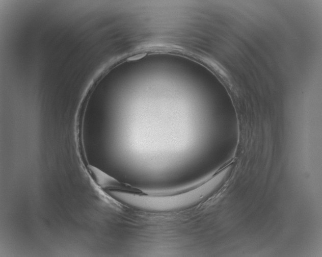 X0000073991430200609181731