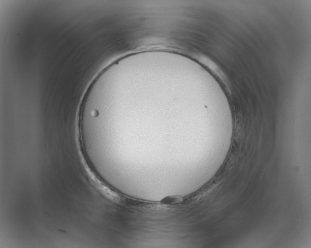 X0000073991431200609181731