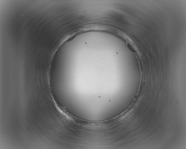 X0000073991433200609181731