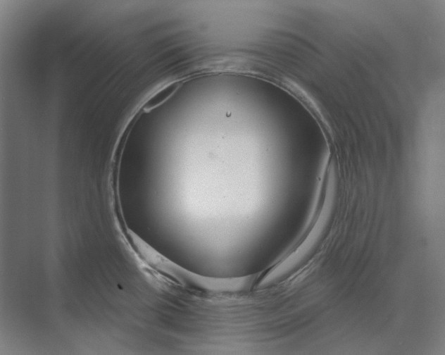 X0000073991434200609181731